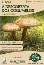 80_-_CAVA_à_descoberta_dos_cogumelos